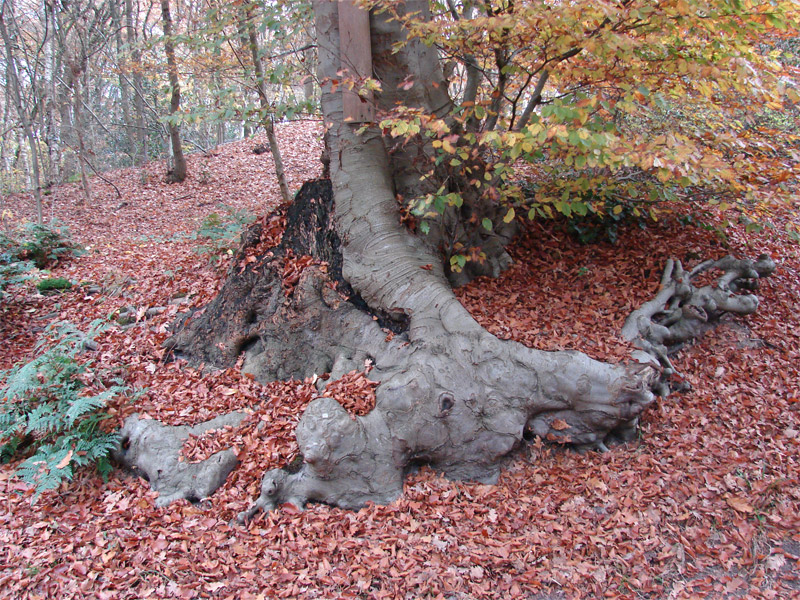 Vak 2007 10 IJhorst 054