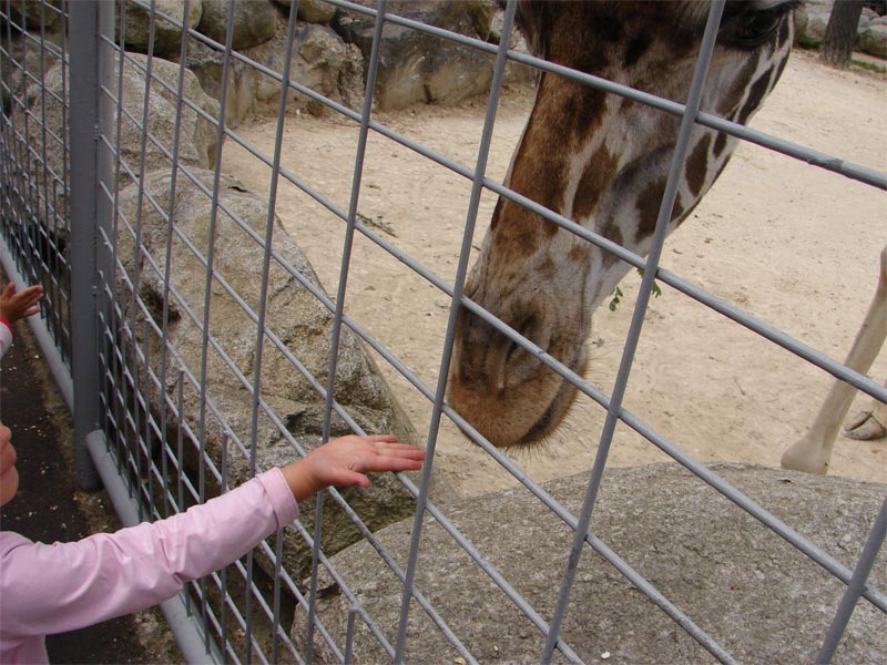 Vakantie 2007 Frankrijk 252